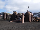 Dampfkocher zum Tranauskochen in Whalers Bay