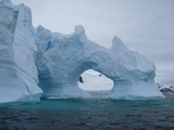 Eisberg in der Andvord Bay