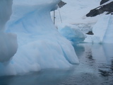 Die Sarah W. Vorwerk zwischen Eisbergen