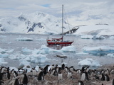 Die Sarah W. Vorwerk vor der Antarktisstation González Videla