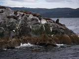 Seelöweninsel bei Faro Les Eclaireurs
